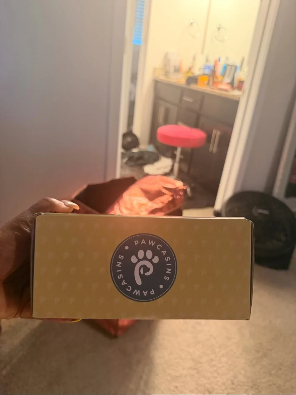 Dog Shoes